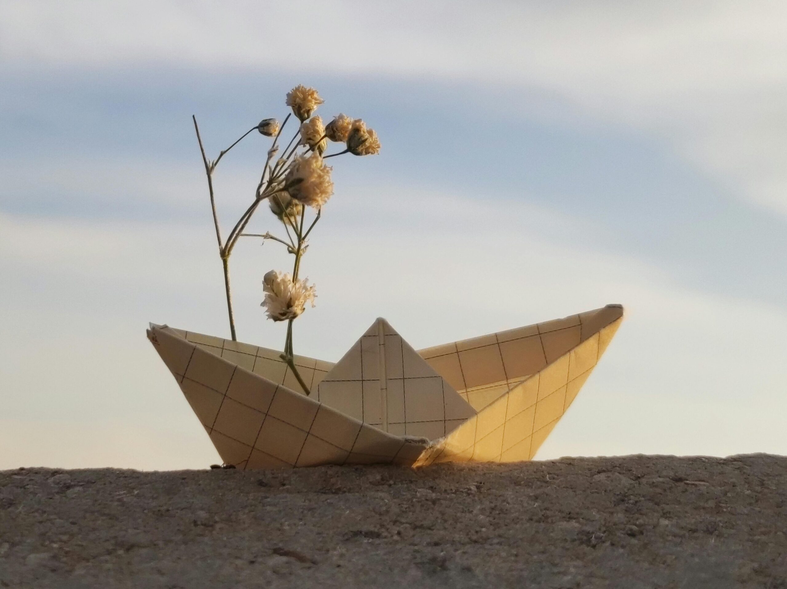 A paper boat adorned with dried flowers rests beneath a softly lit sky.