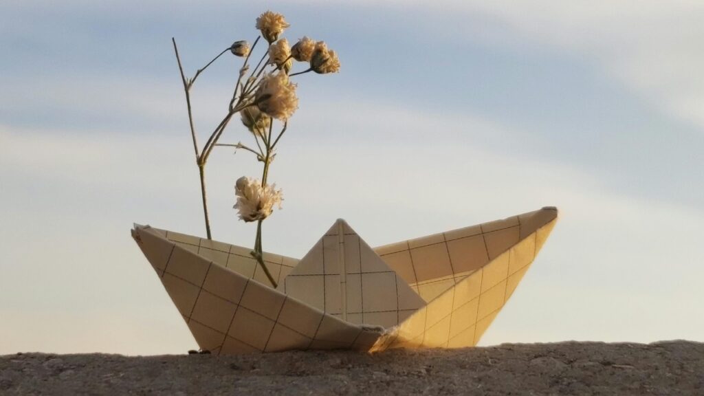 A paper boat adorned with dried flowers rests beneath a softly lit sky.
